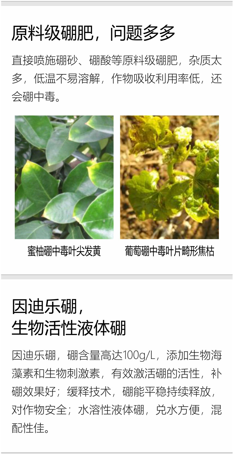 因迪樂(lè )有機海藻硼750_03.jpg